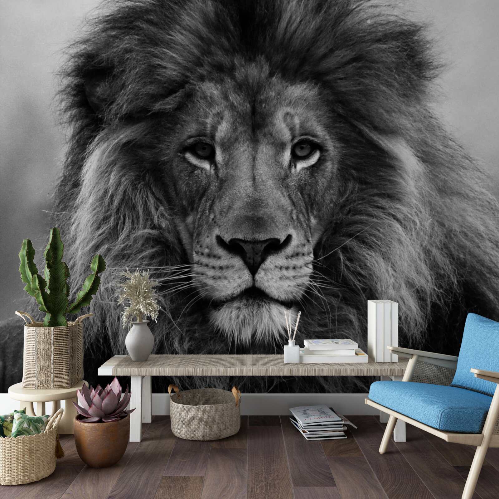 Papier peint image d'un lion adulte