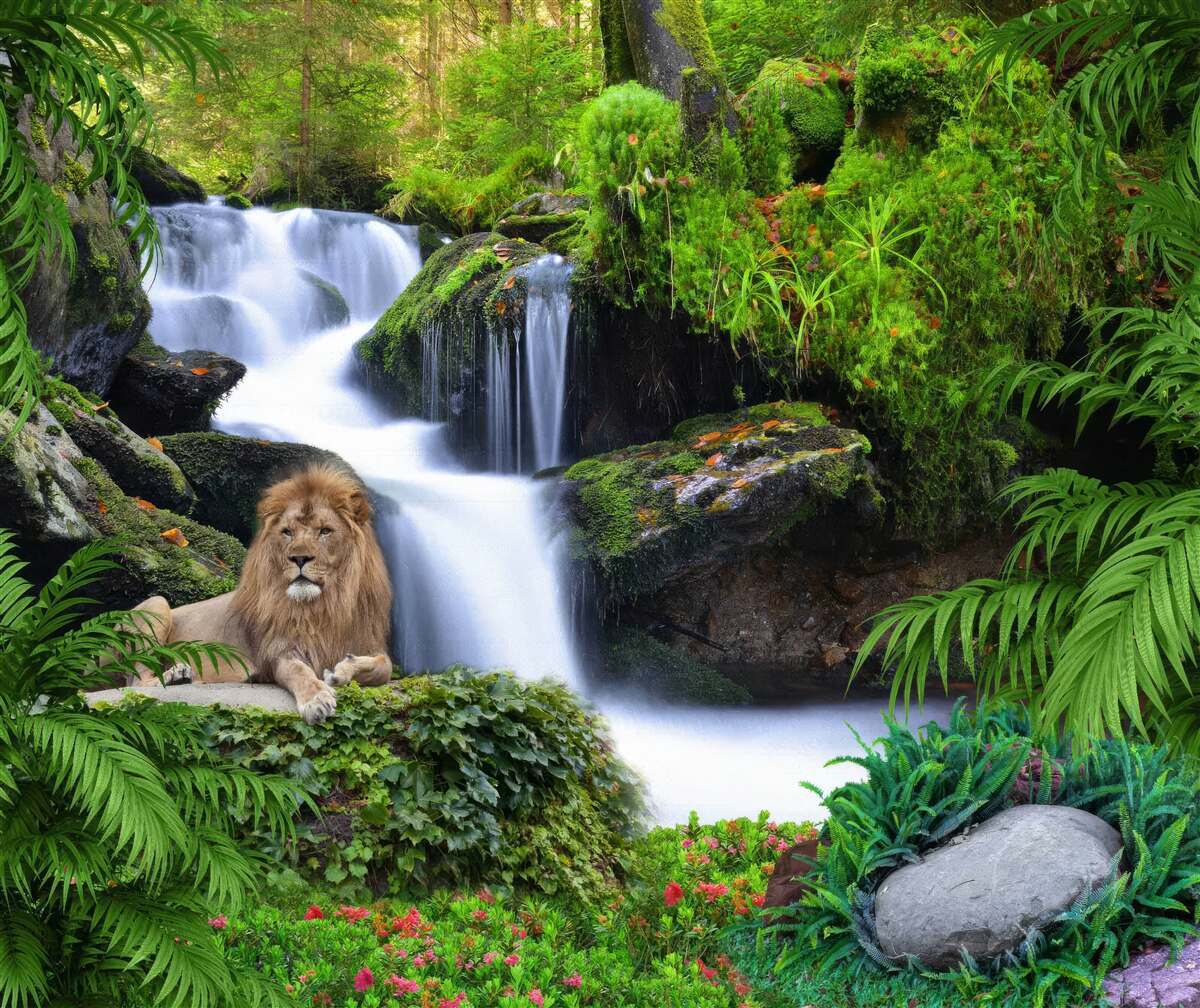 Papier peint il y a un lion à la cascade
