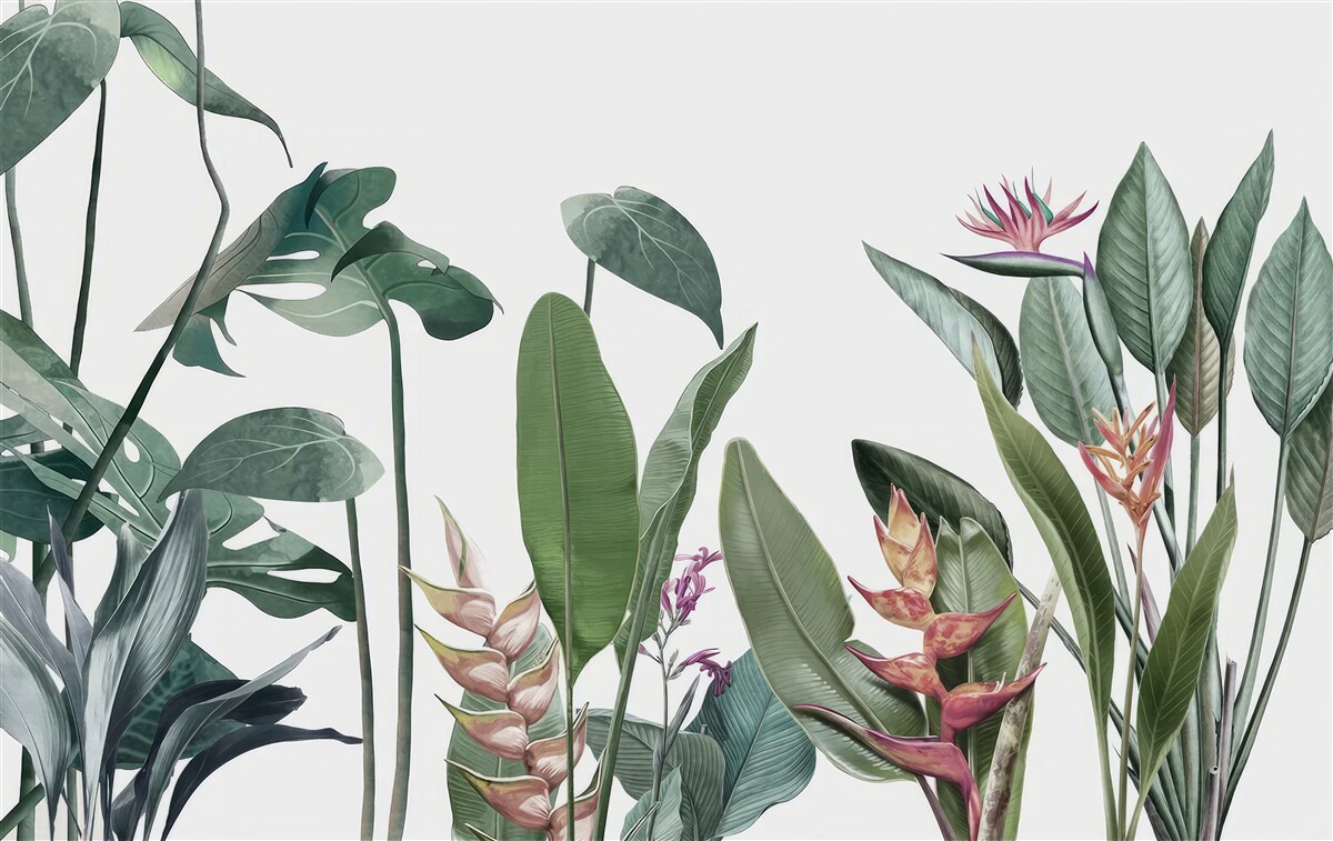 Papier peint feuilles de diverses plantes tropicales