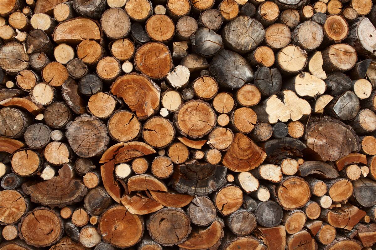 Papier peint divers rondins de bois