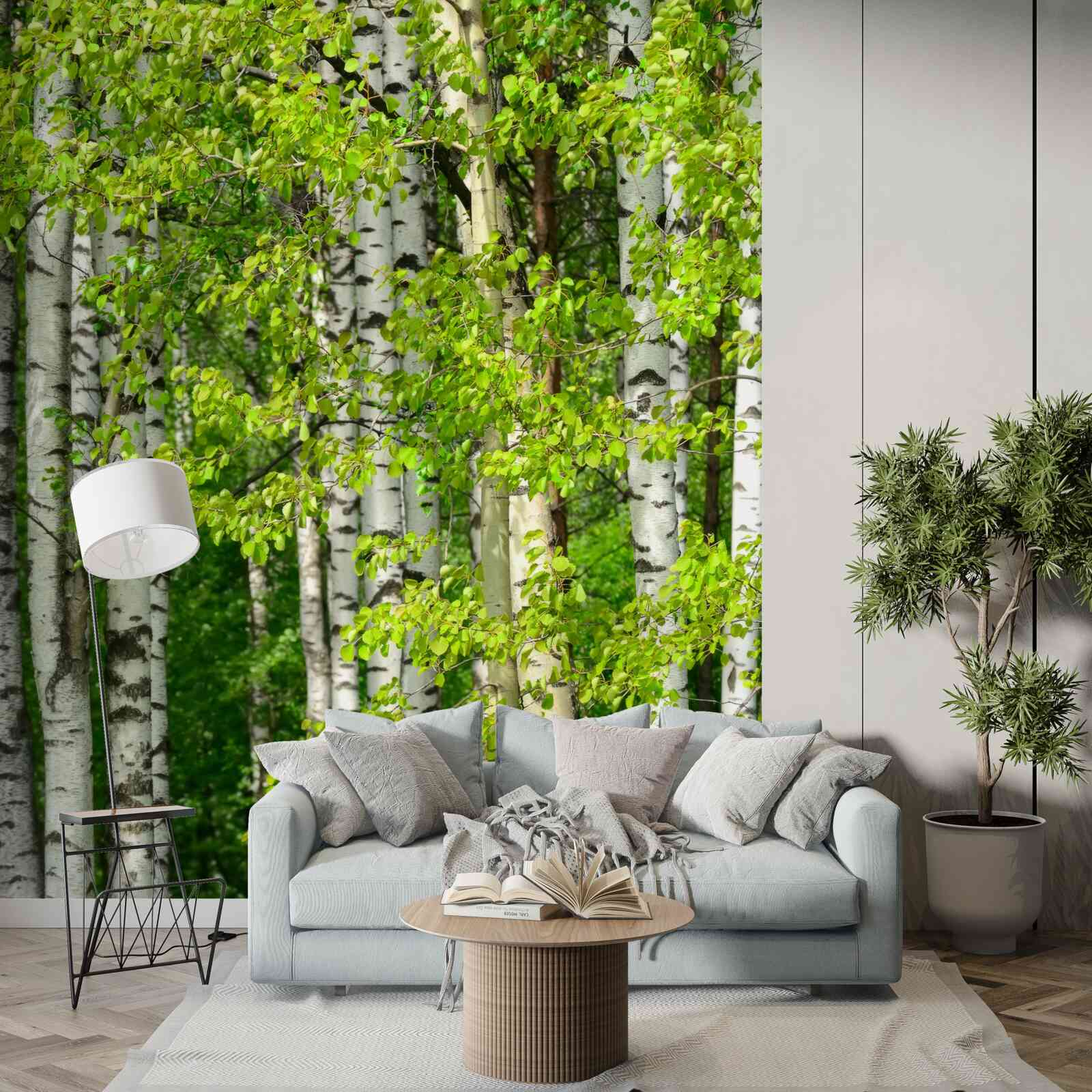 Papier peint forêt de bouleaux