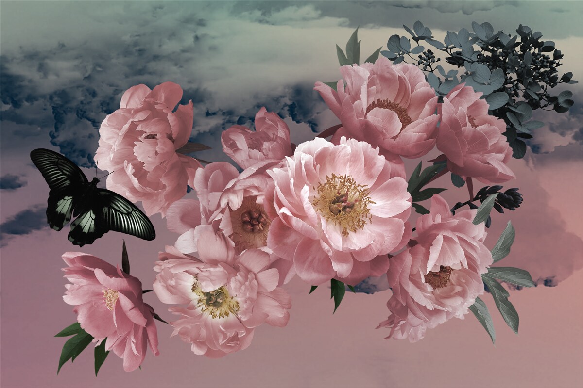 Papier peint papillon sombre et fleurs roses