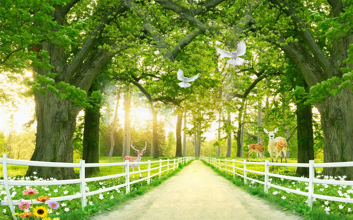 Papier peint un chemin pour des promenades romantiques
