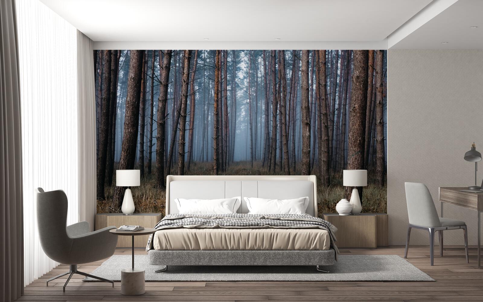 Papier peint forêt de pins sombres