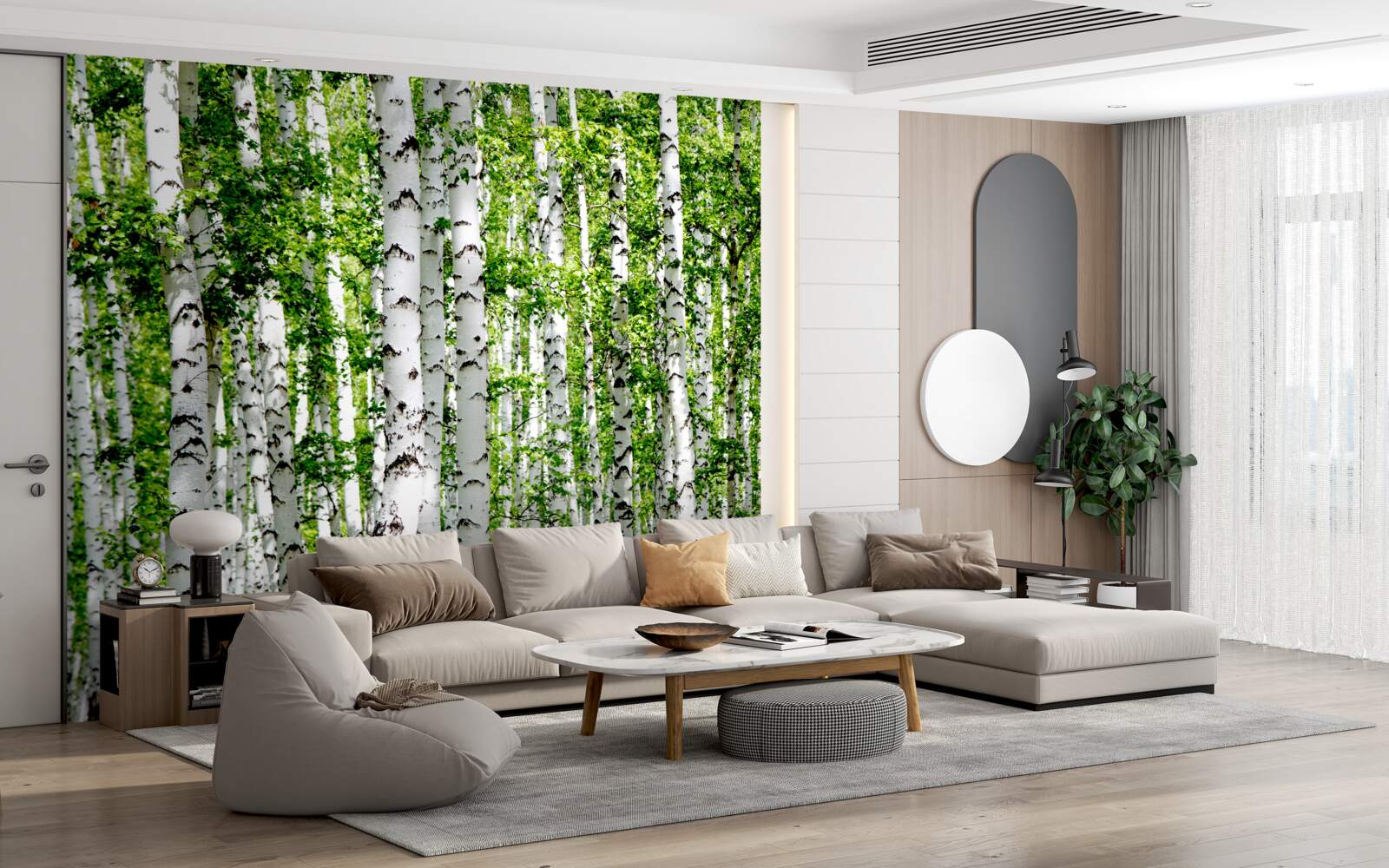 Papier peint des bouleaux gracieux aux feuilles vertes