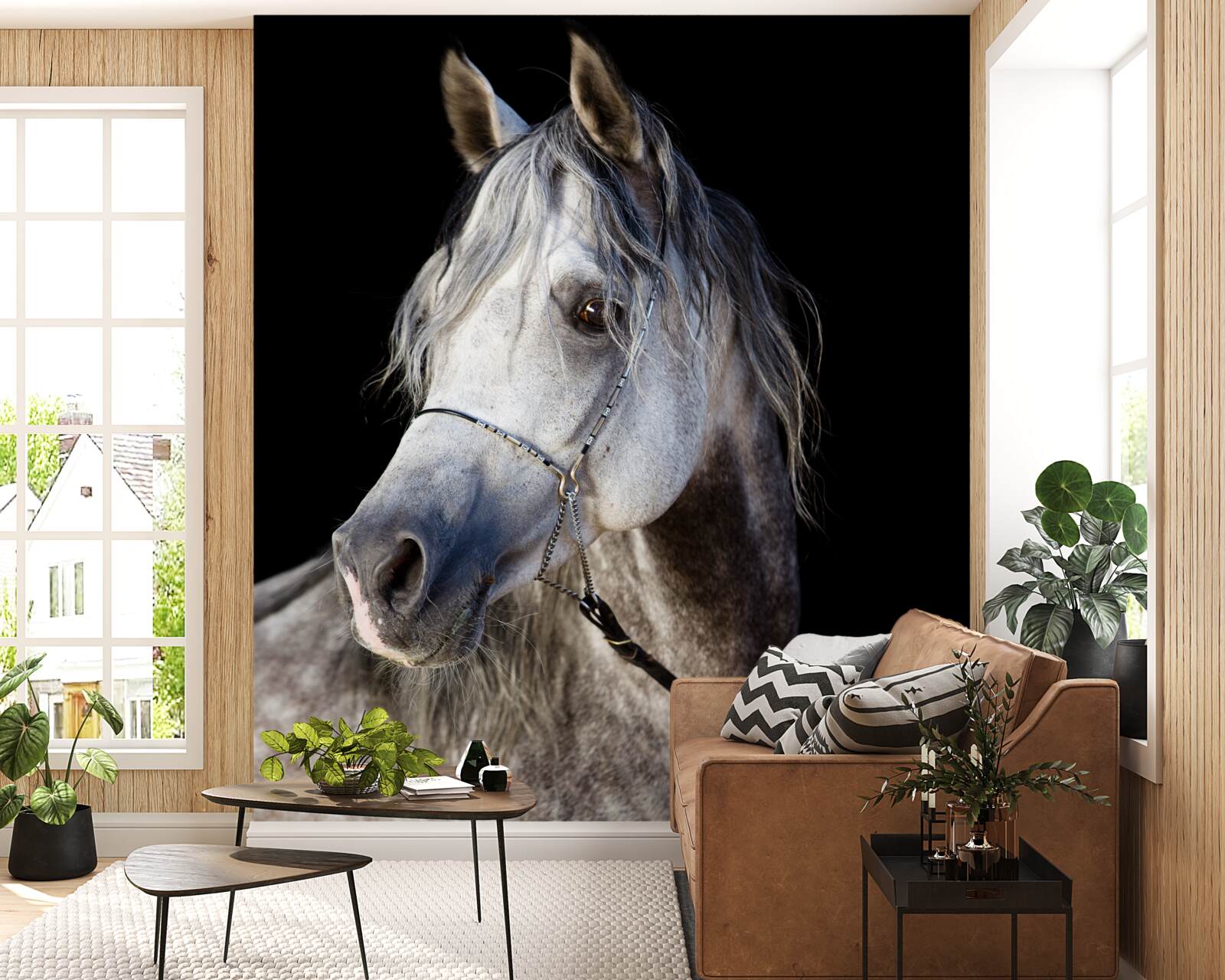 Papier peint silhouette élégante d'un cheval sur fond sombre