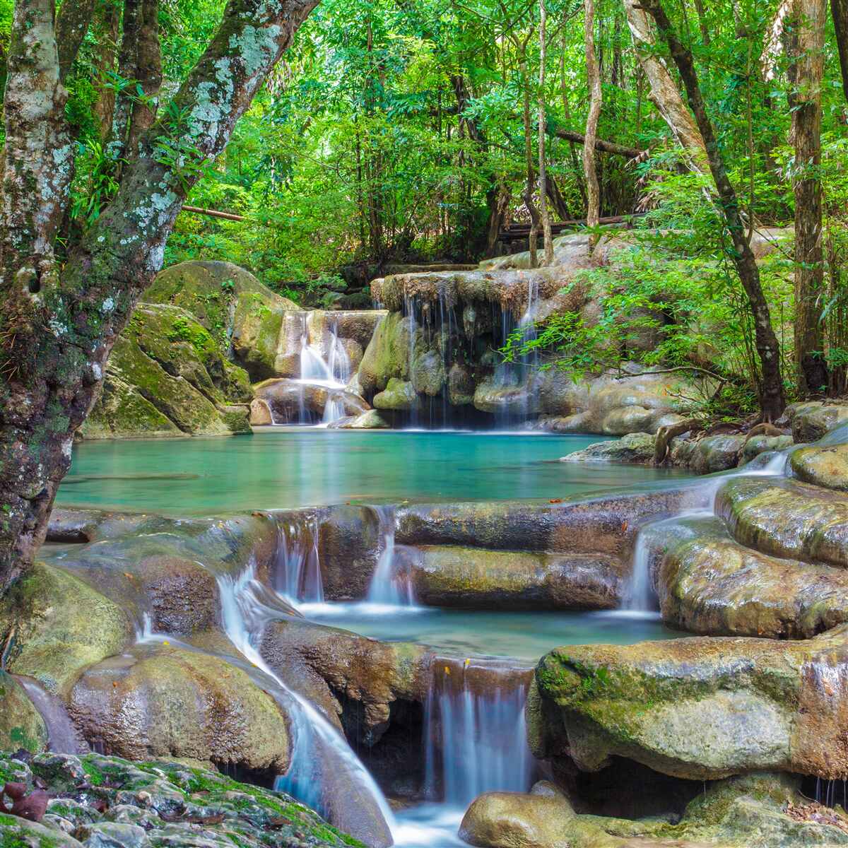 Papier peint petite cascade forestière