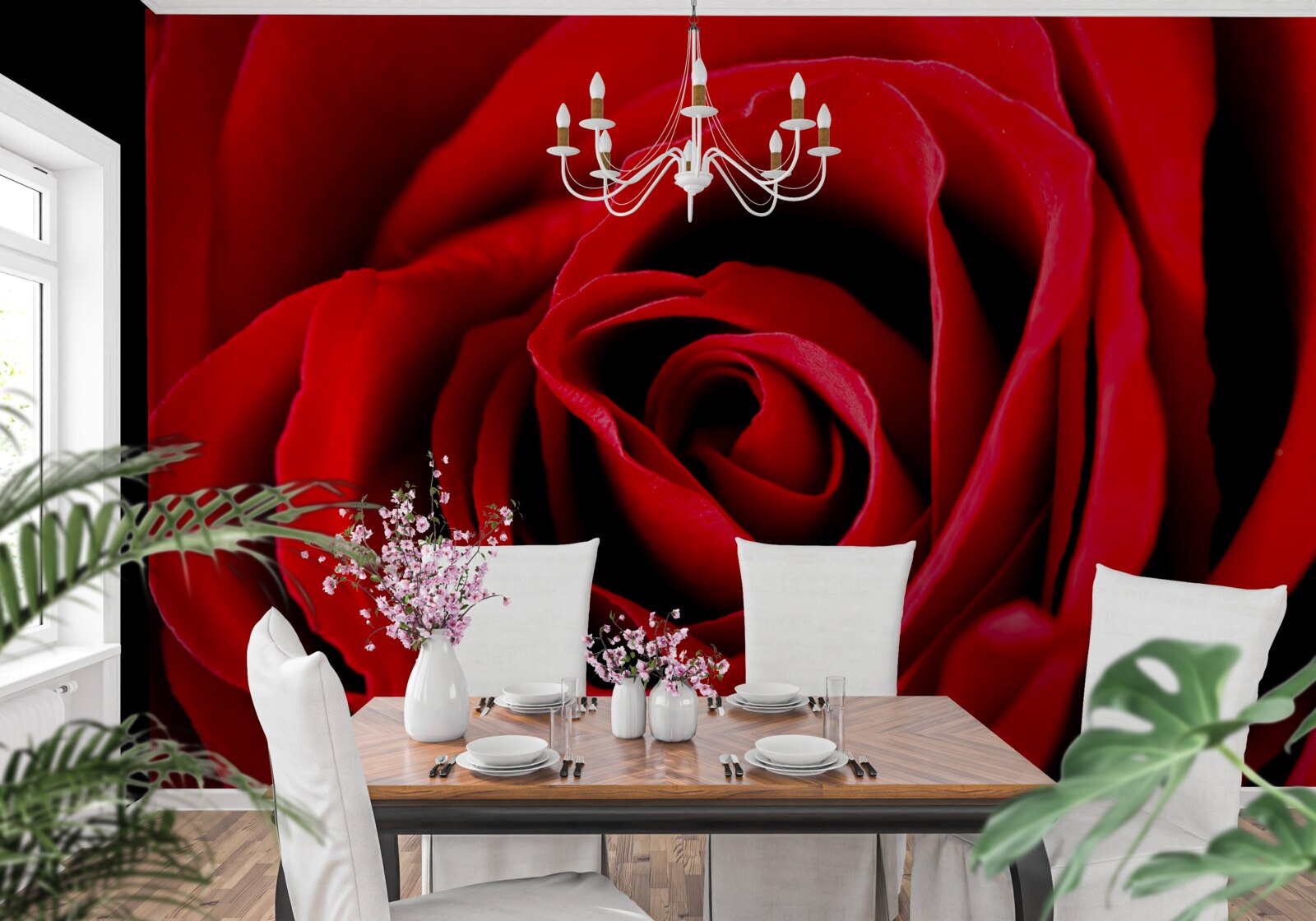 Papier peint photo en gros plan d'une rose rouge