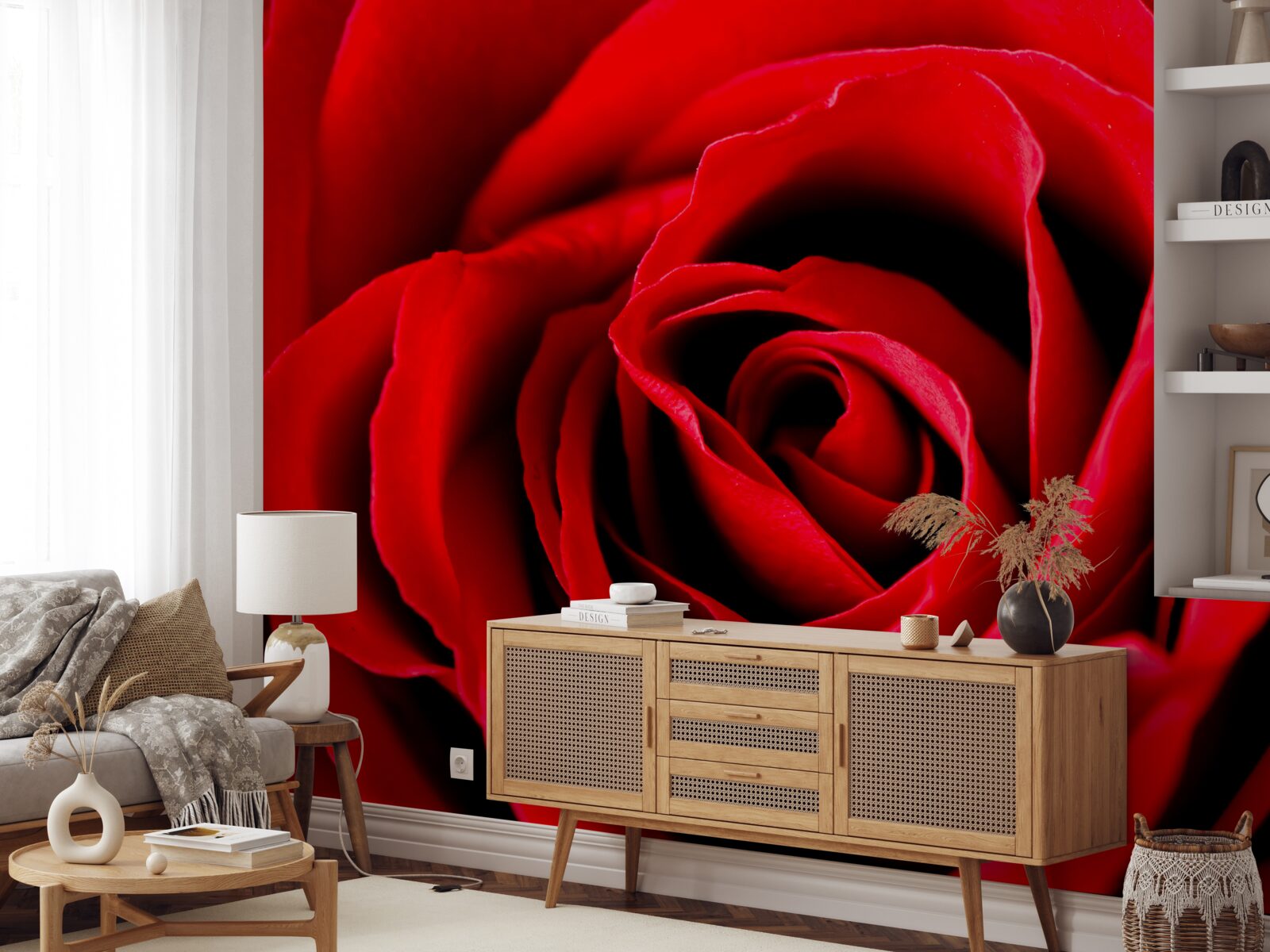 Papier peint photo en gros plan d'une rose rouge