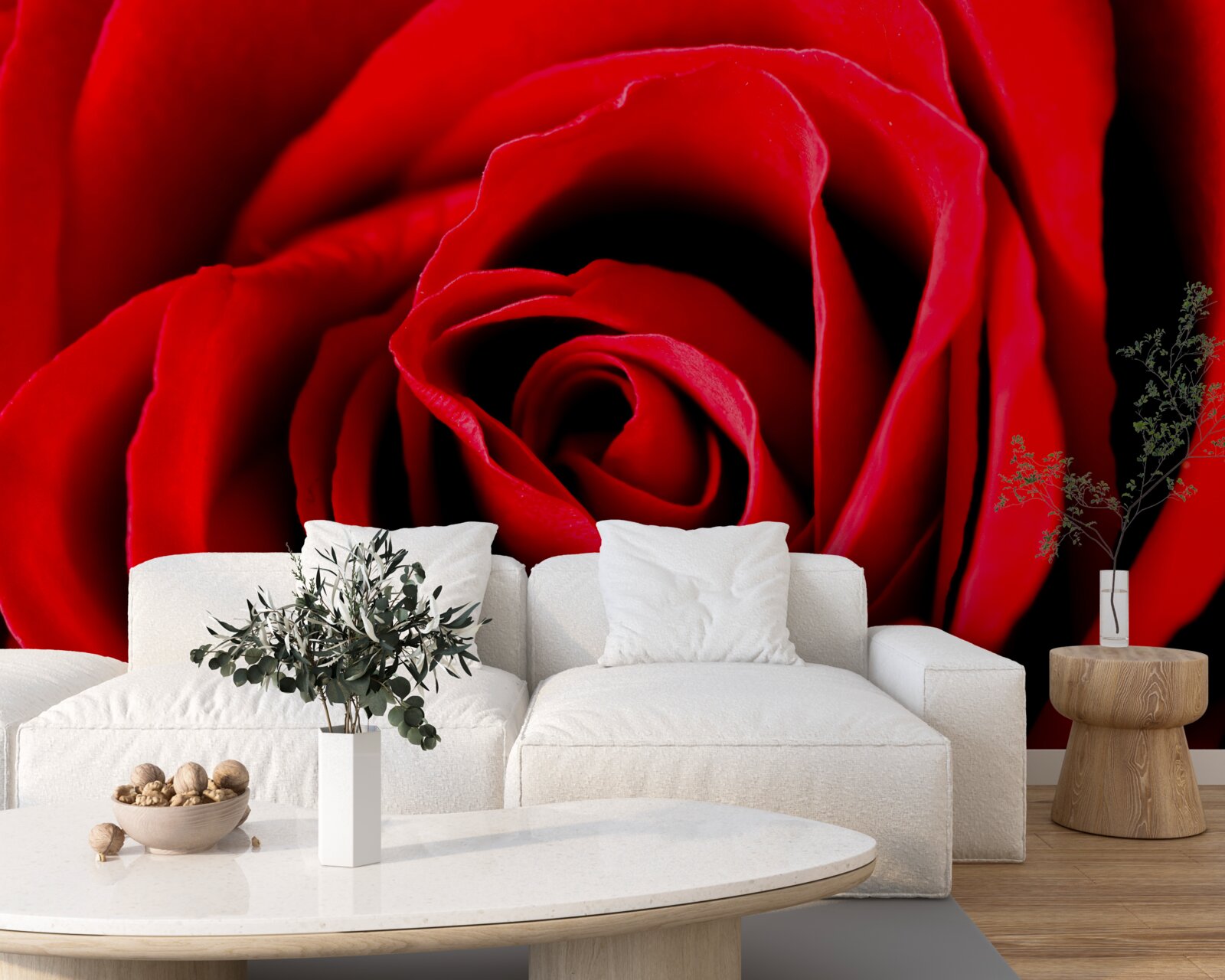 Papier peint photo en gros plan d'une rose rouge