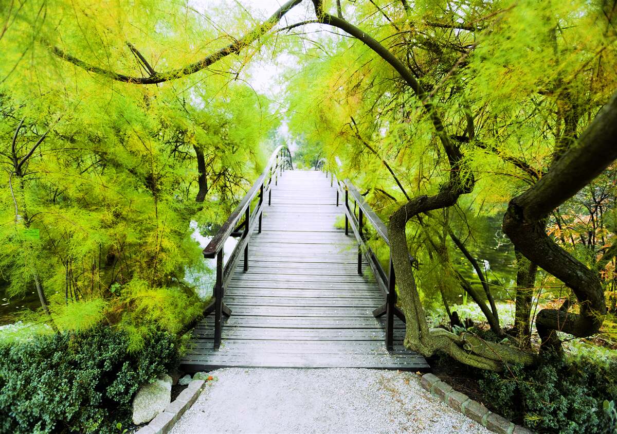 Papier peint escaliers traversant des espaces verts