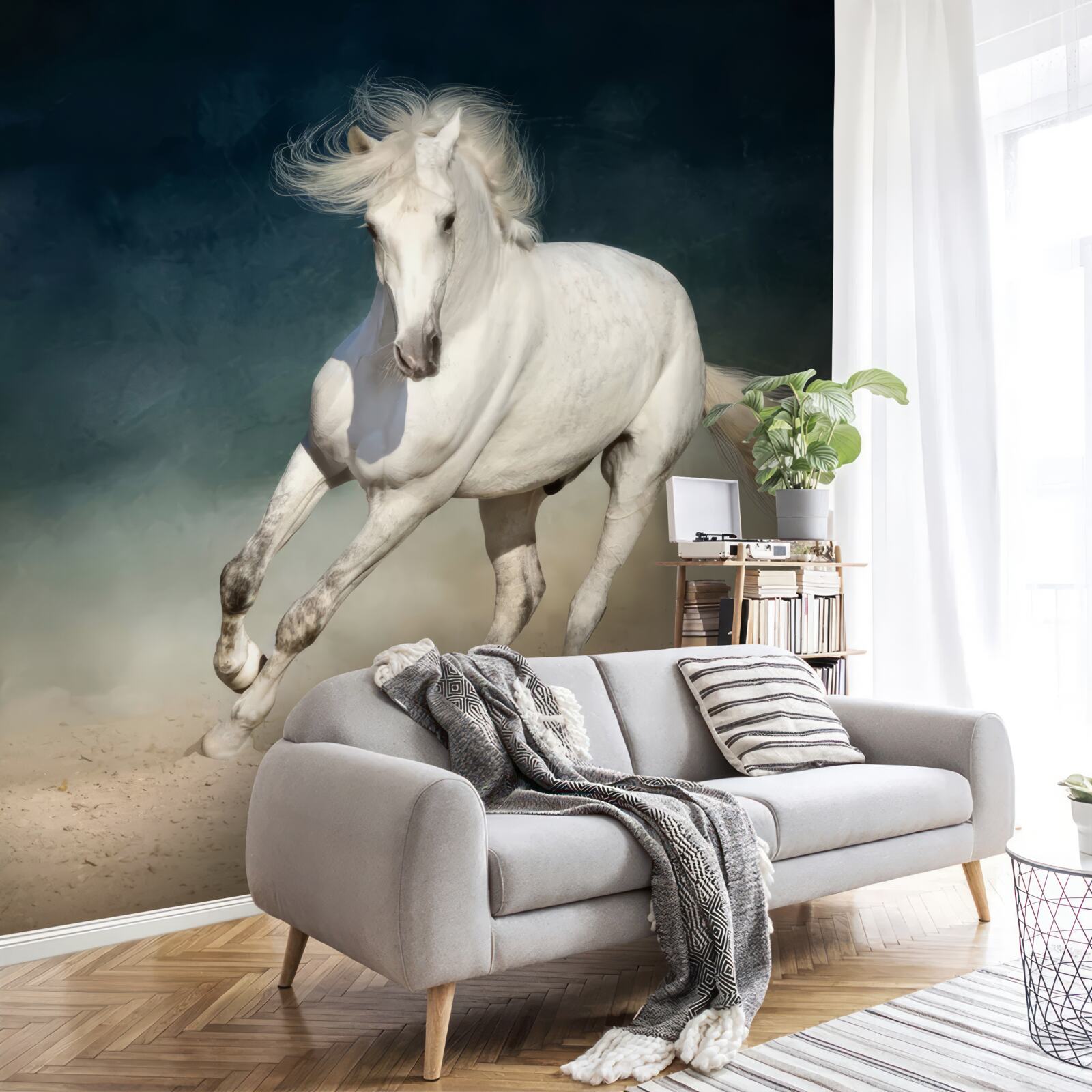 Papier peint piste du cheval blanc