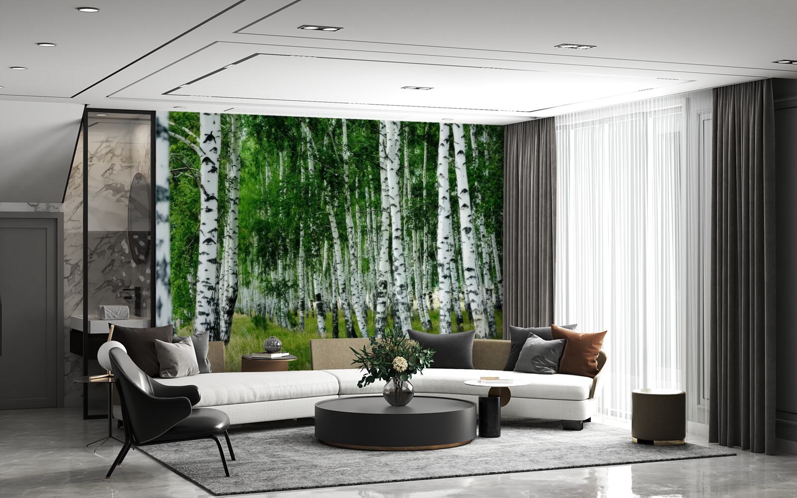 Papier peint bosquet de bouleaux dense