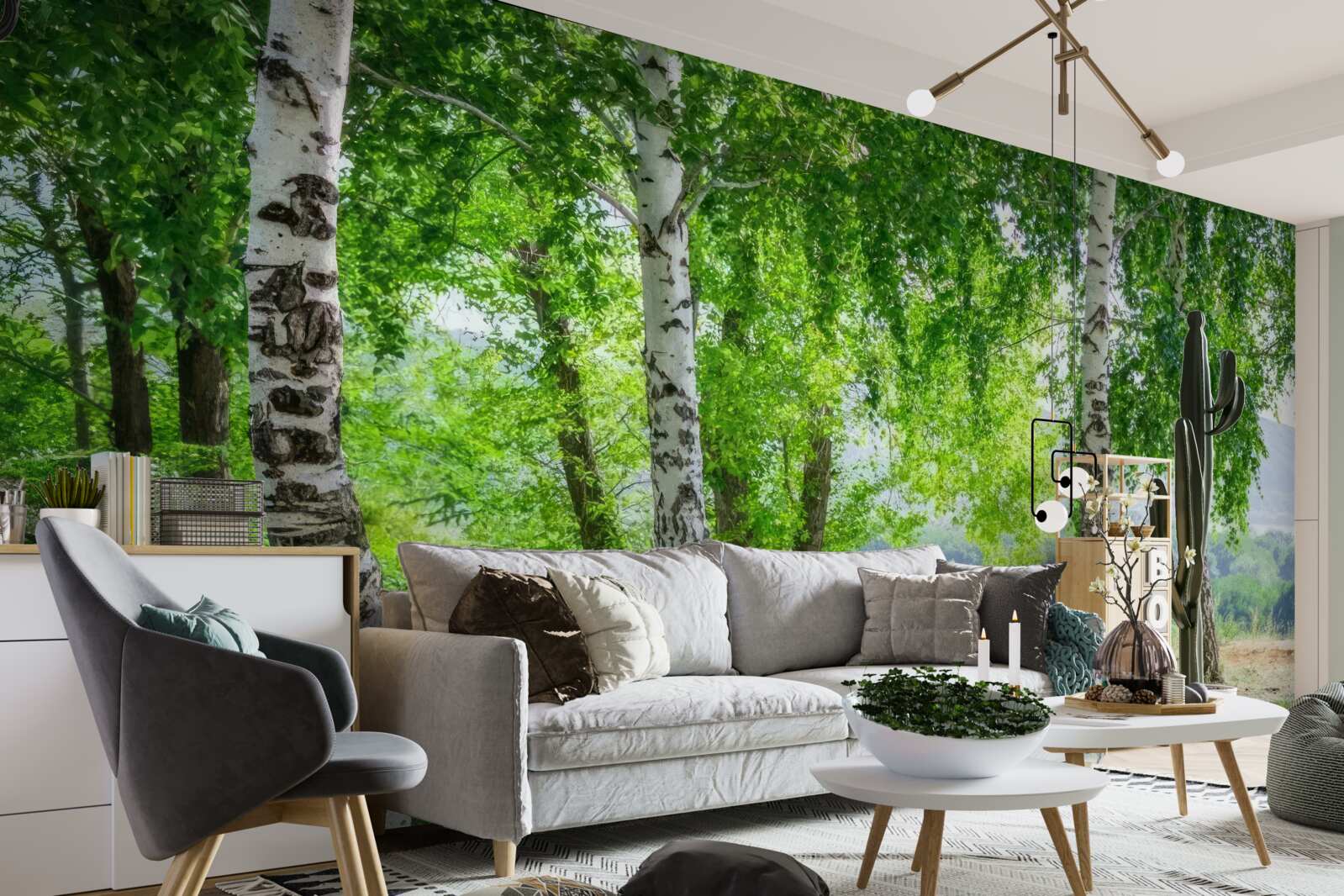 Papier peint une forêt de bouleaux verts