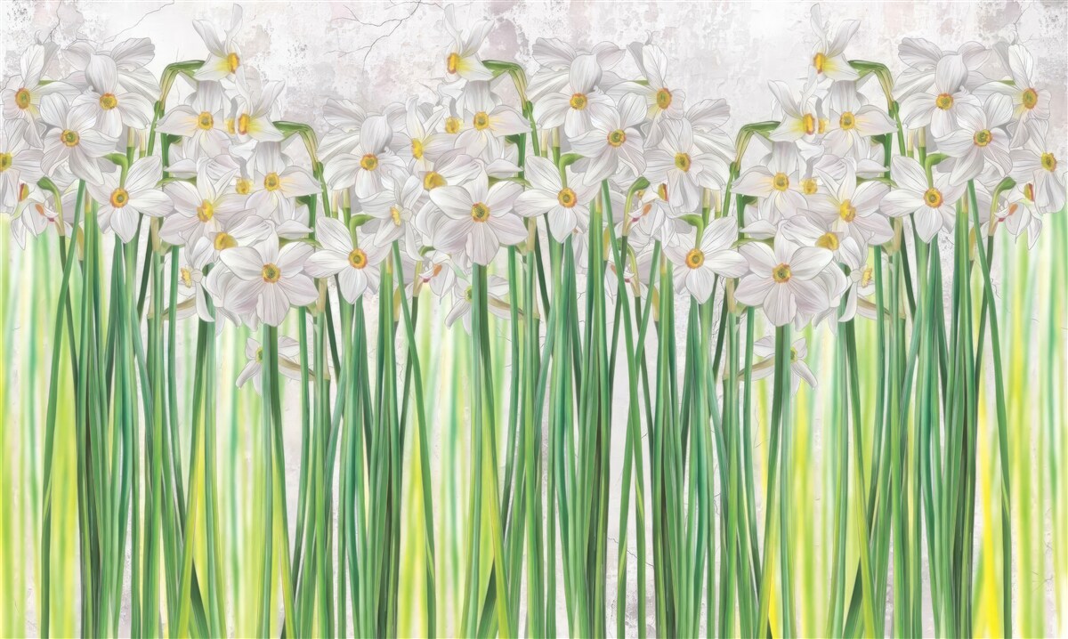 Papier peint les fleurs de jonquilles sont blanches