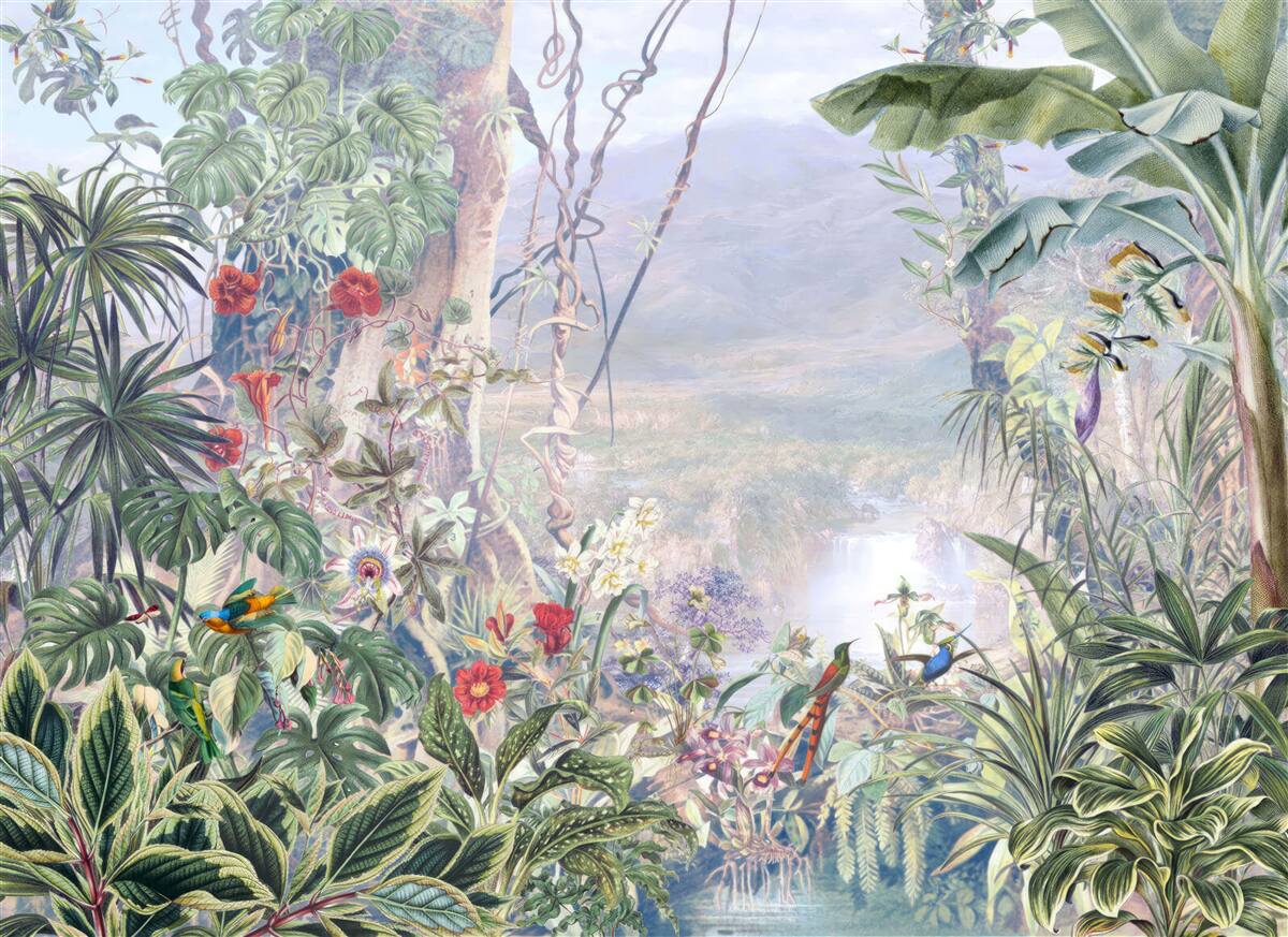 Papier peint habitants à plumes de la jungle