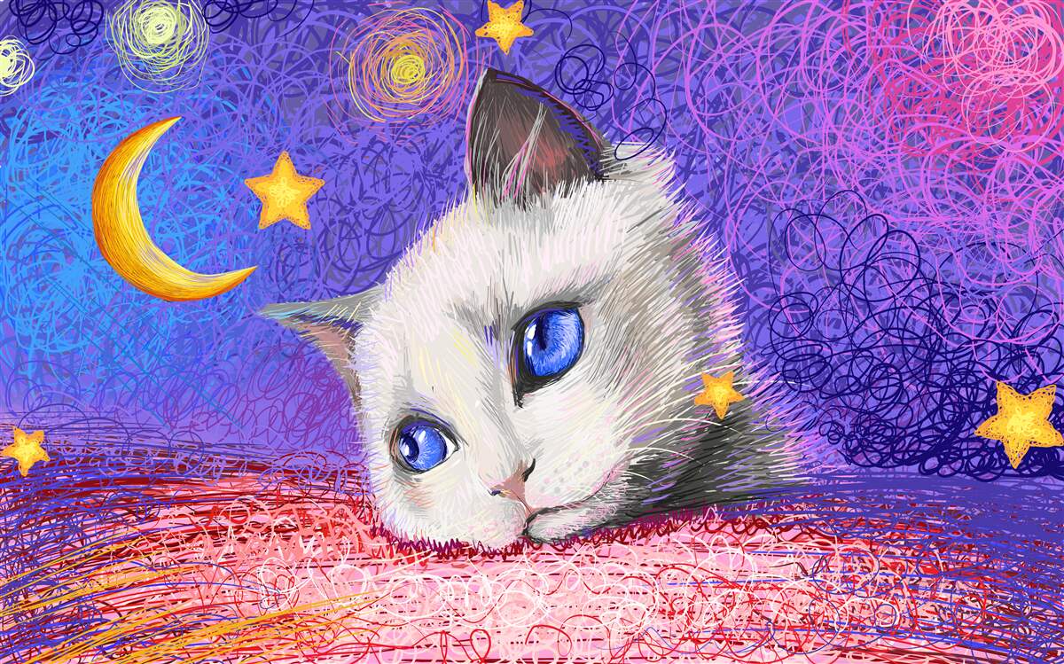 Papier peint un chat mignon regarde la lune
