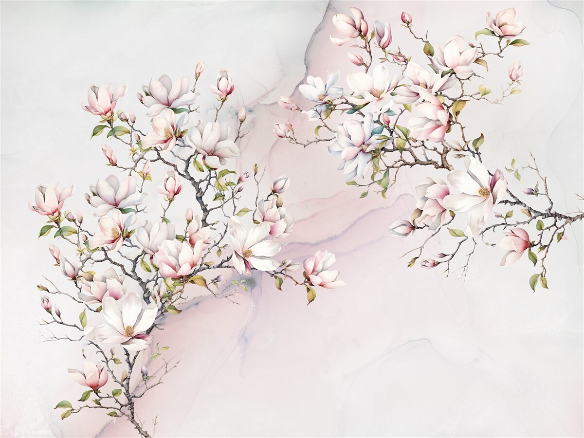 Papier peint Les branches du magnolia blanc et rose sont gracieuses et belles