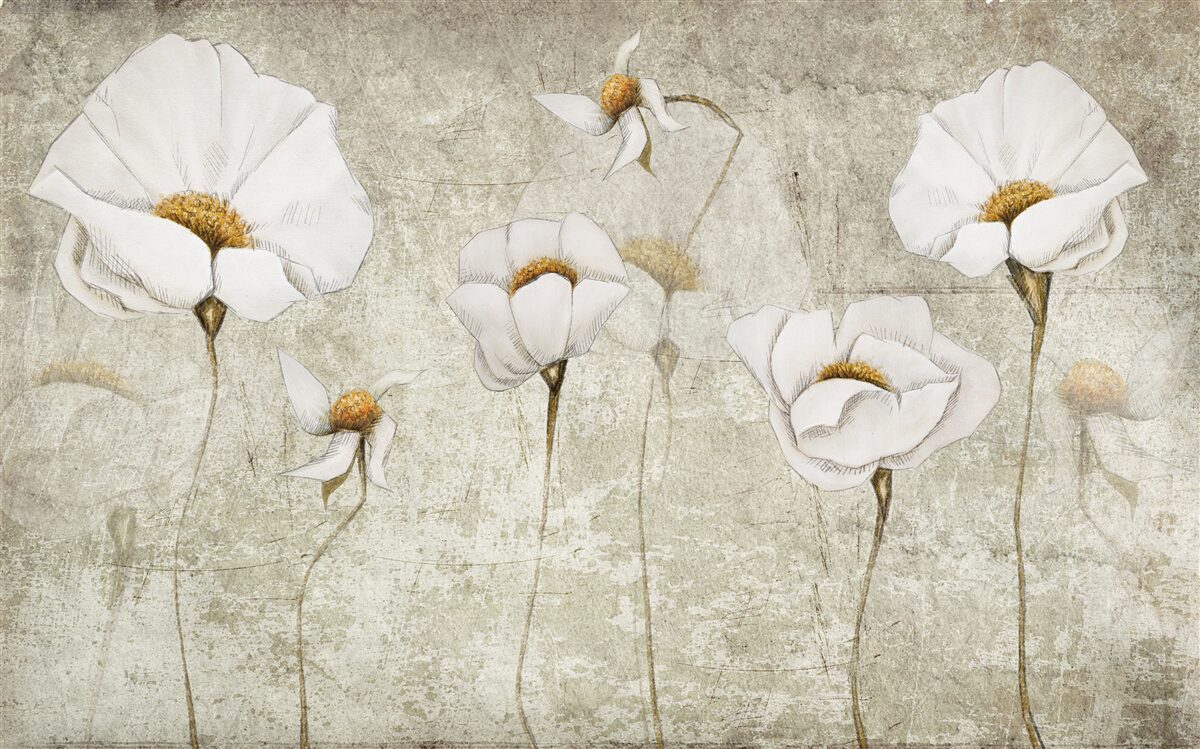 Papier peint coquelicots blancs élancés
