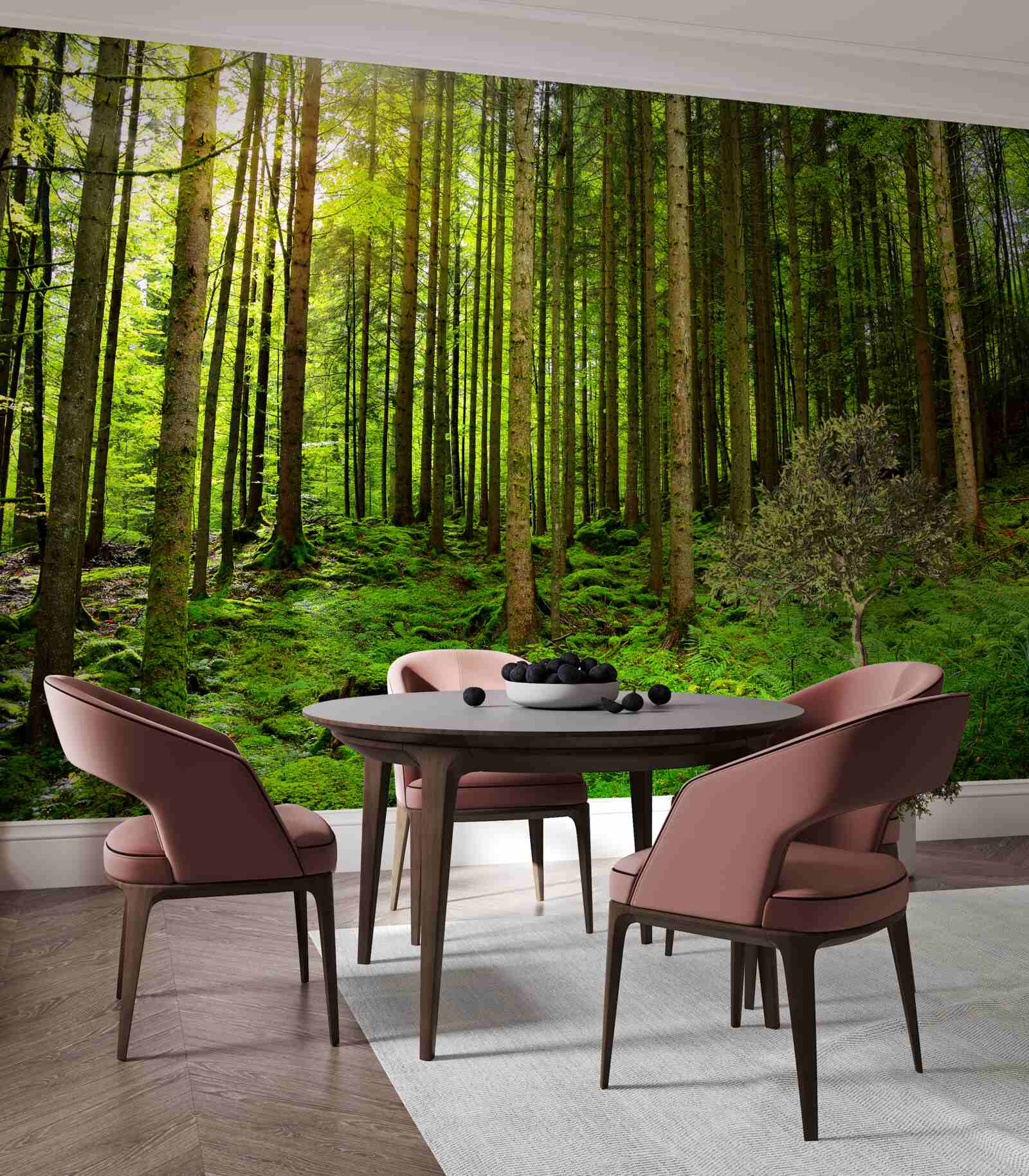 Papier peint les rayons du soleil pénètrent dans la forêt