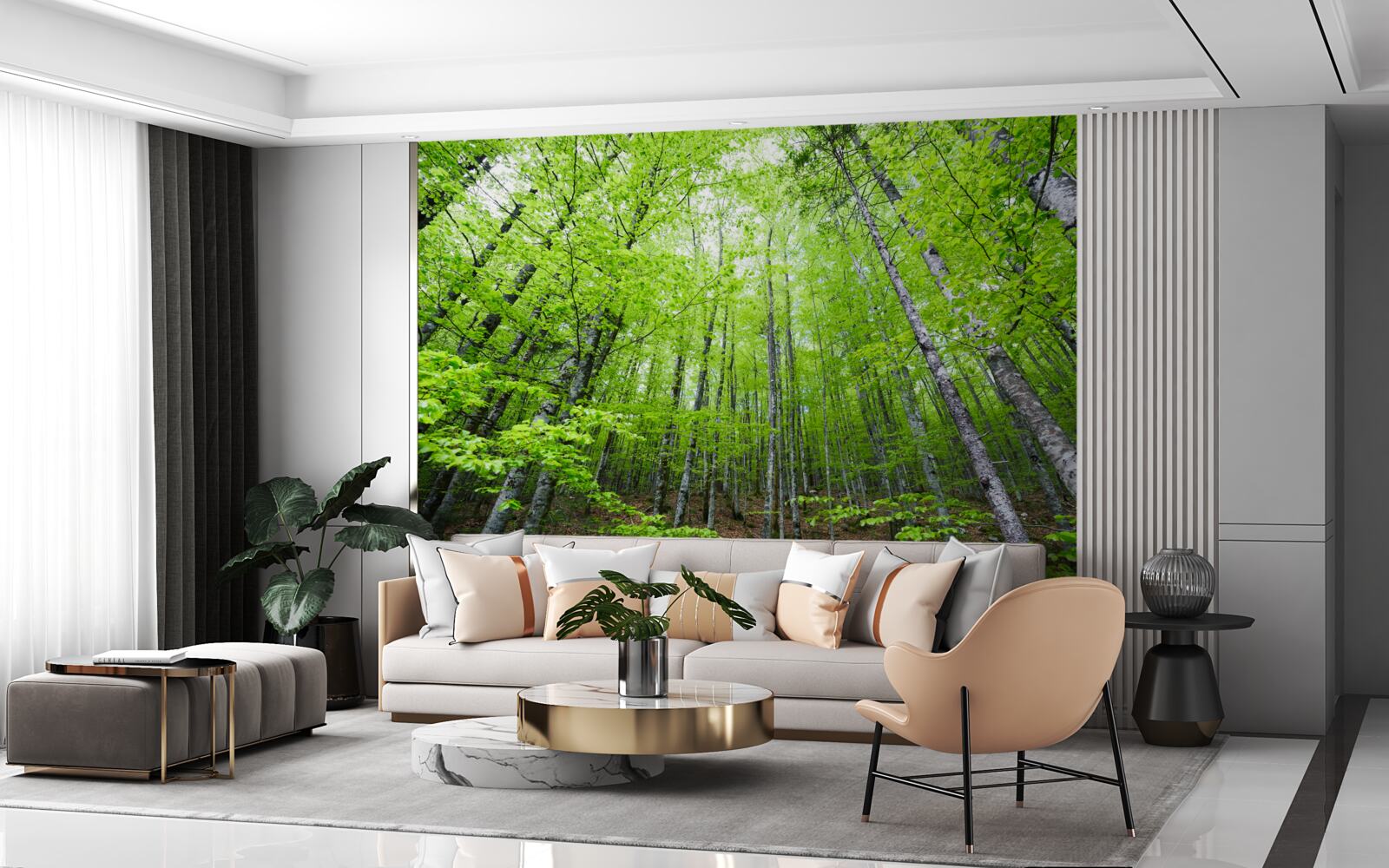 Papier peint les couronnes vertes des arbres de la forêt brillent de mille feux
