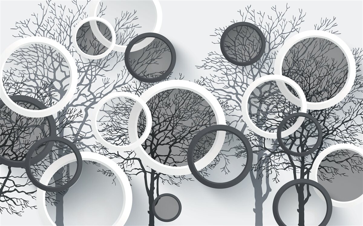 Papier peint arbres dans la brume et les cercles