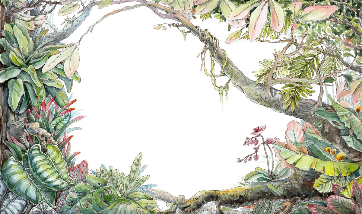 Papier peint forêt tropicale verdoyante