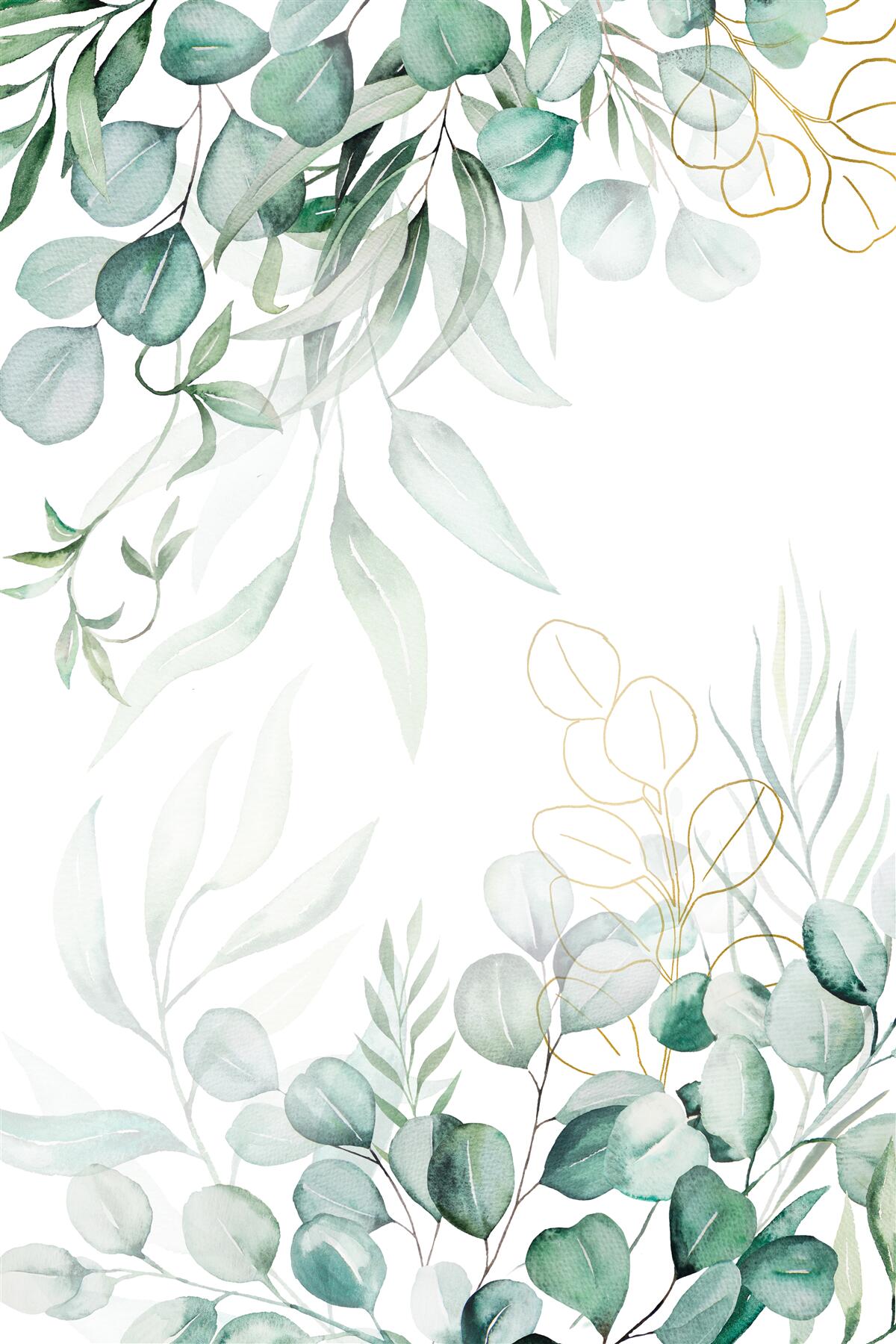 Papier peint Les feuilles d'eucalyptus sont vertes et jaunes.