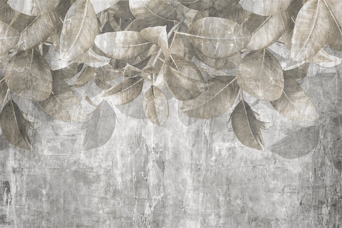Papier peint les feuilles d'eucalyptus tombent au sol