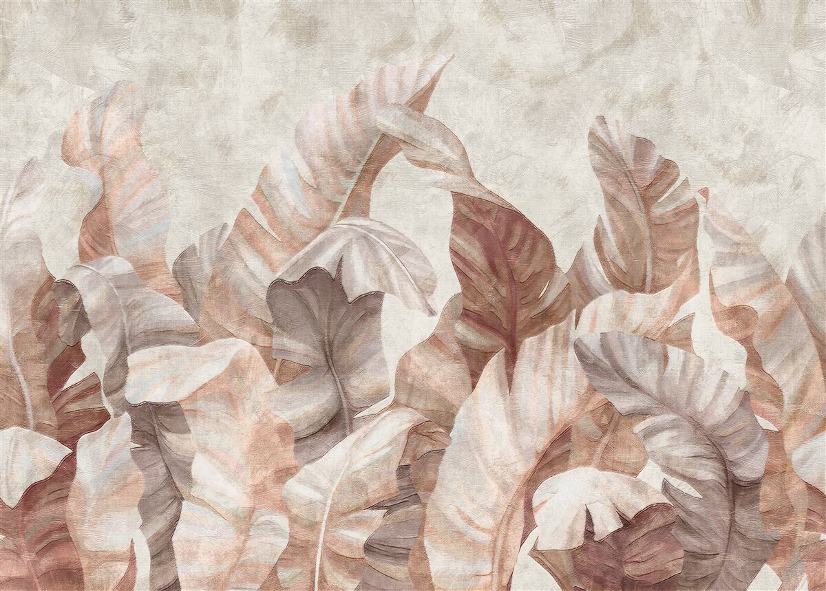 Papier peint les grandes feuilles des plantes tropicales