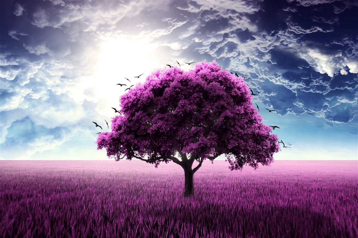 Papier peint lilas en fleurs