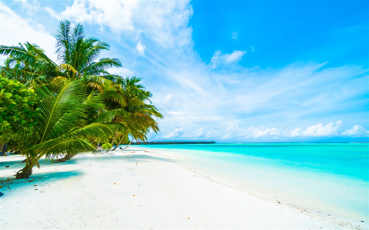 Papier peint plage tropicale azur