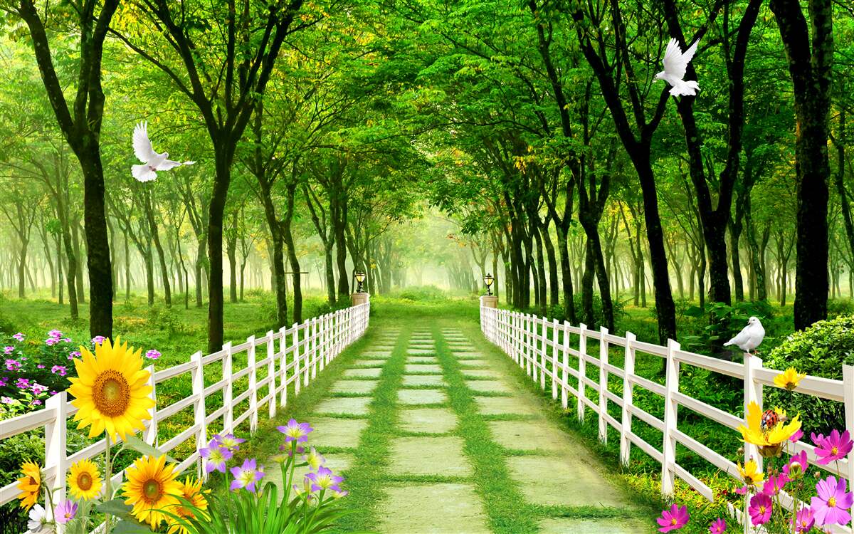 Papier peint une forêt verdoyante et un chemin parsemé de fleurs