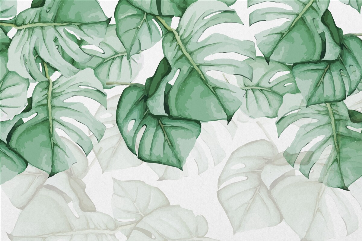 Papier peint grandes feuilles de monstera