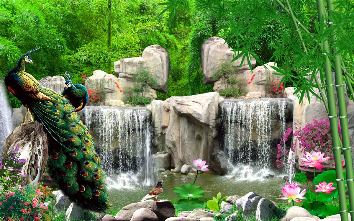 Papier peint paons à la cascade