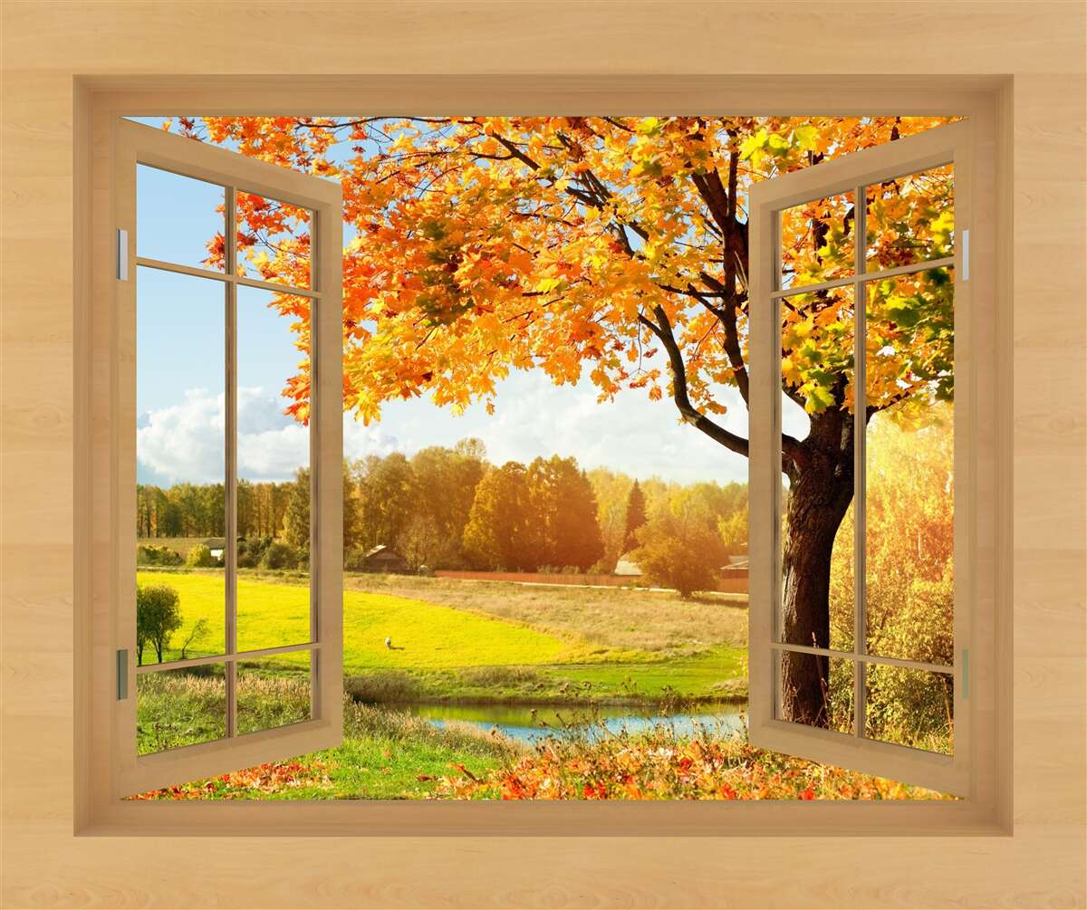 Papier peint vue d'automne depuis la fenêtre