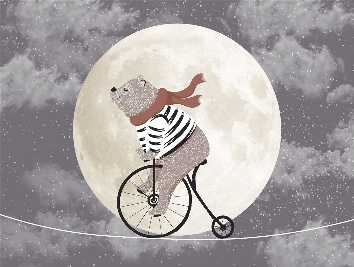 Papier peint panda de cirque sur un vélo