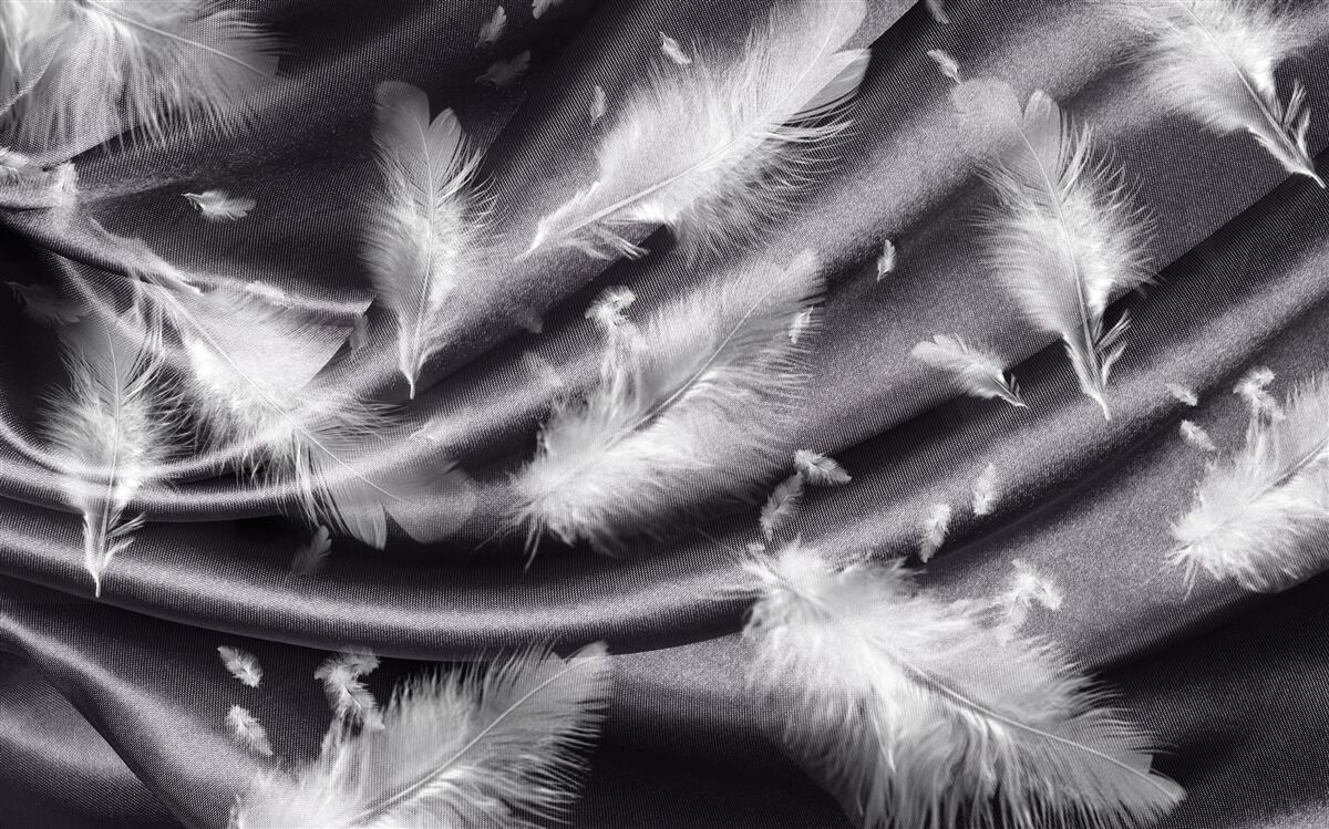 Papier peint des plumes de blanc neige sont placées sur le tissu gris