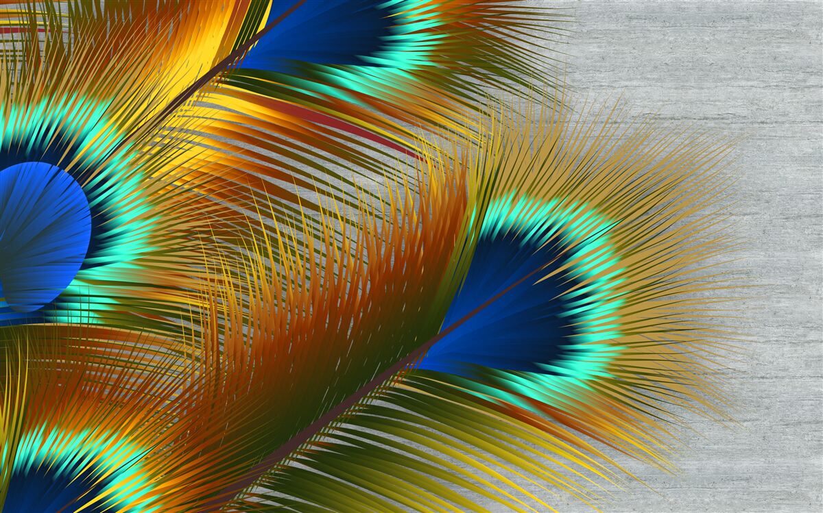 Papier peint plumes de paon luxuriantes