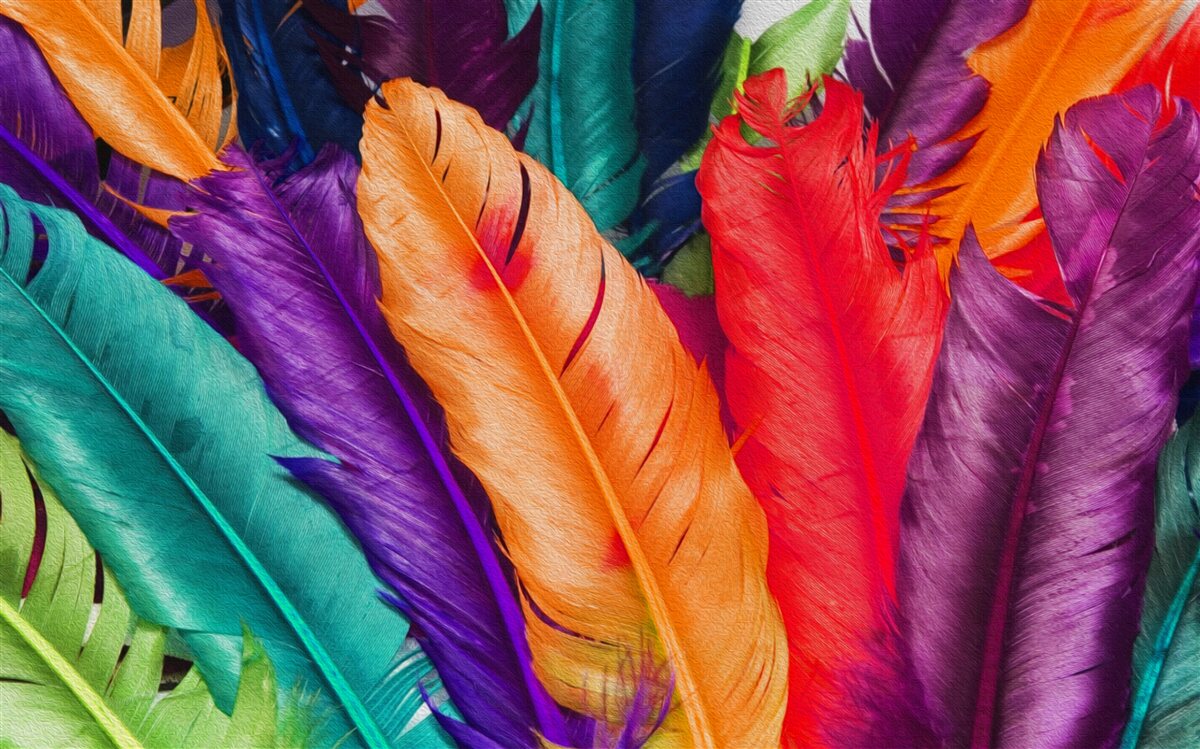 Papier peint longues plumes, riches en saturation