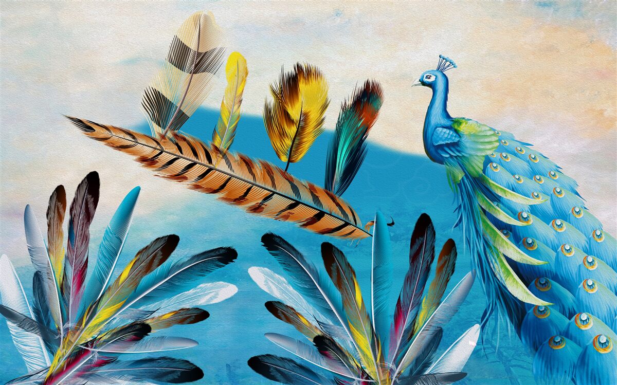 Papier peint les plumes de ce paon