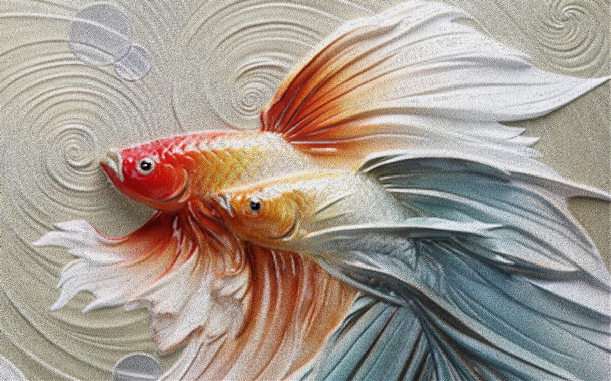 Papier peint deux poissons colorés avec des nageoires