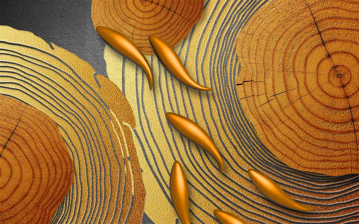 Papier peint les sculptures sur les arbres sont décorées de poissons rouges