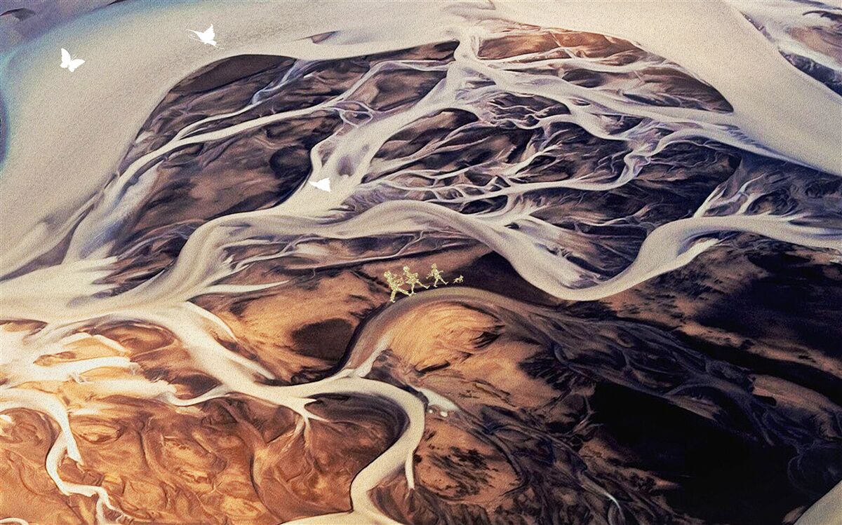 Papier peint fausse silhouette d'un arbre dessinée sur le sable